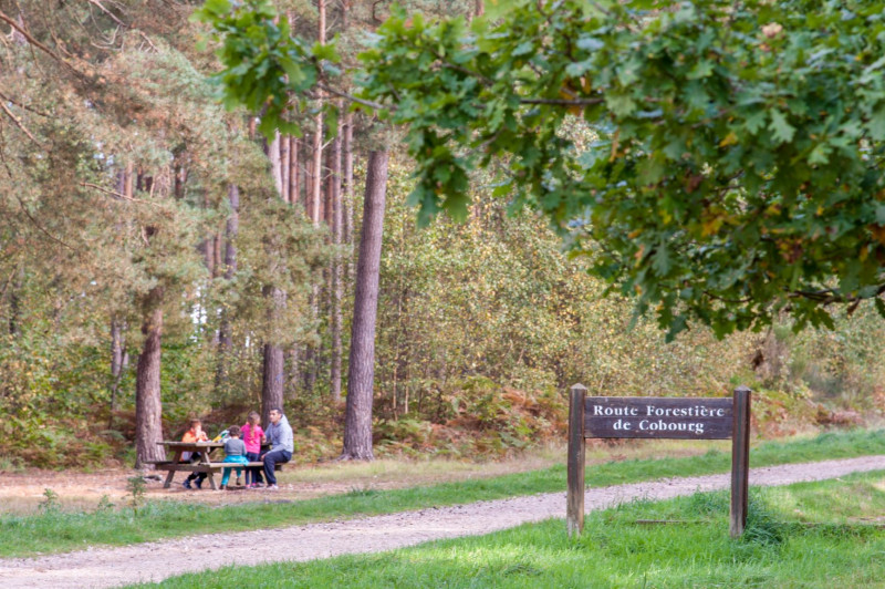 foretdebordlouviers2-normandie-photord-com-1093210